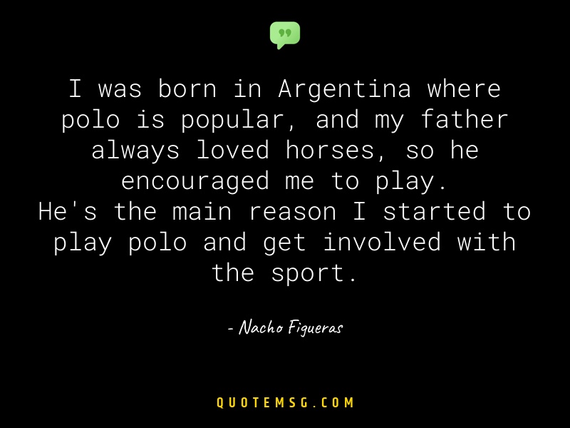 Image of Nacho Figueras