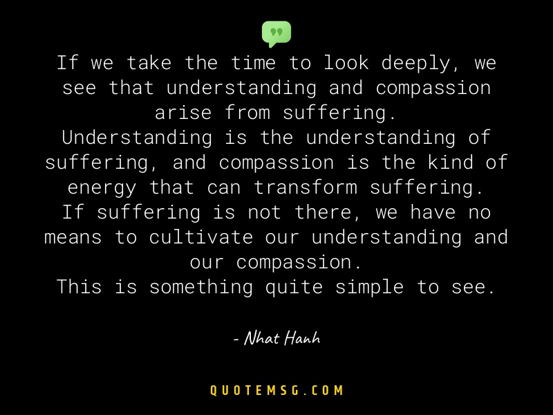 Image of Nhat Hanh