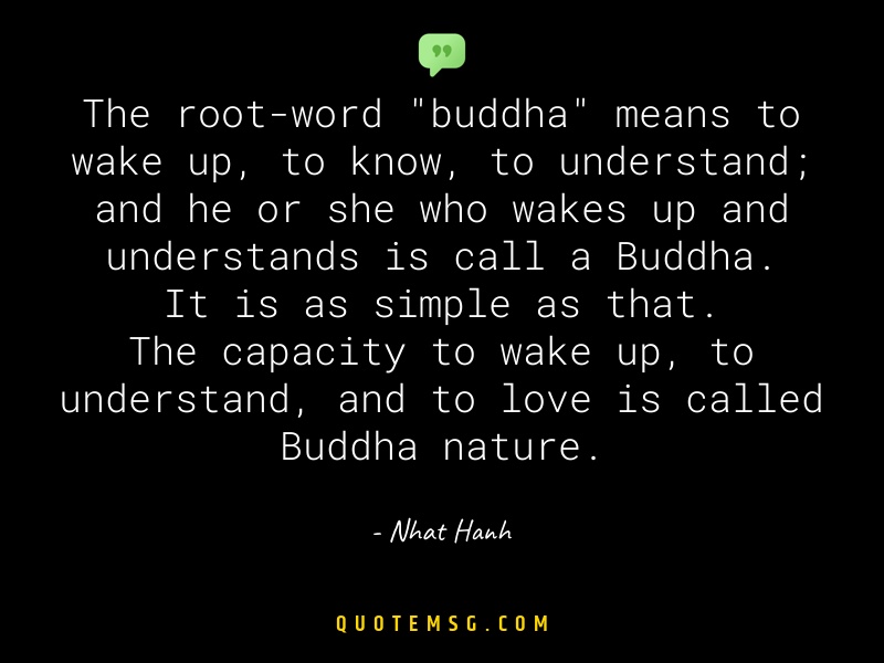 Image of Nhat Hanh