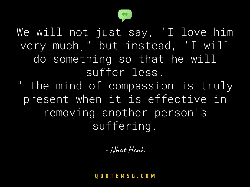 Image of Nhat Hanh