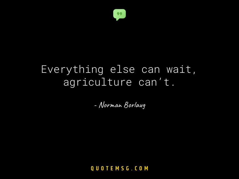 Image of Norman Borlaug