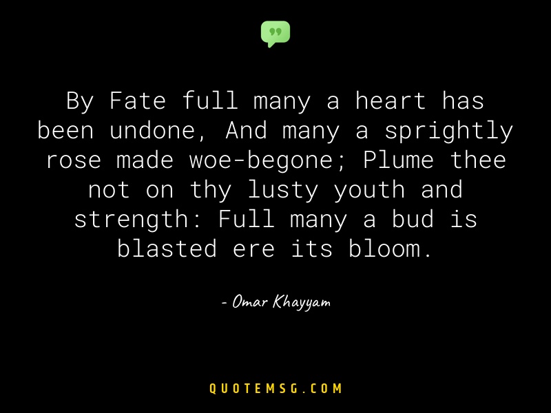 Image of Omar Khayyam