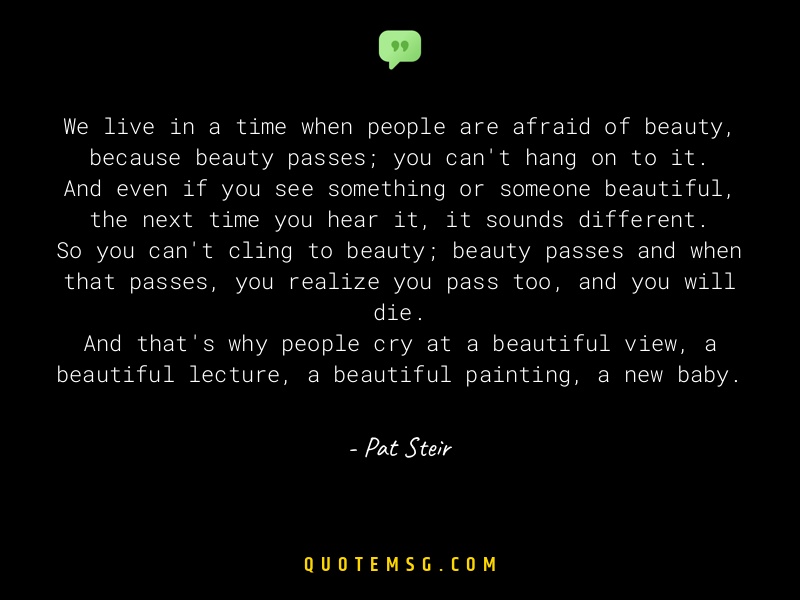 Image of Pat Steir