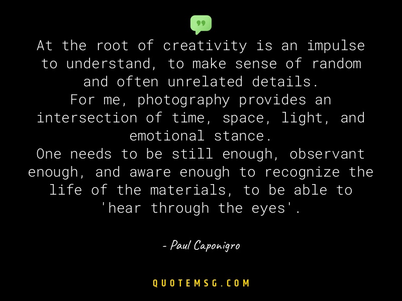 Image of Paul Caponigro