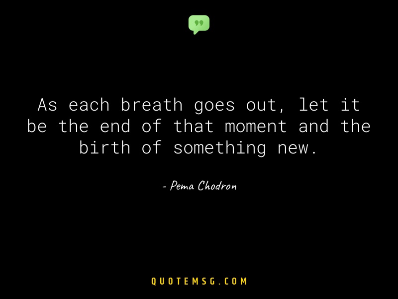 Image of Pema Chodron