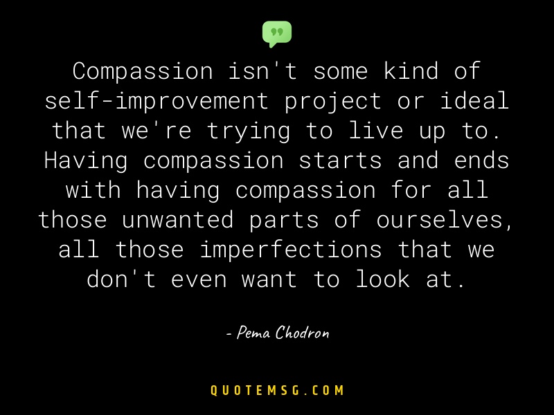 Image of Pema Chodron