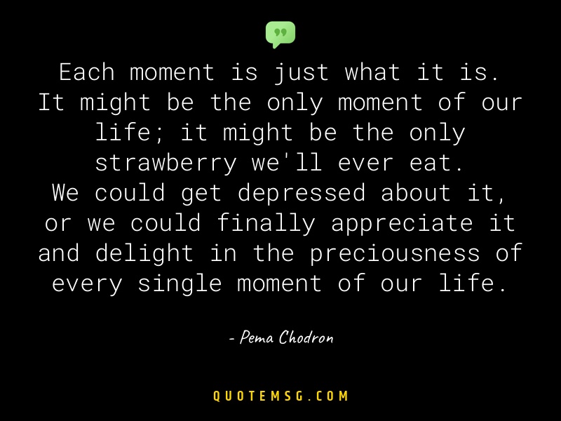 Image of Pema Chodron