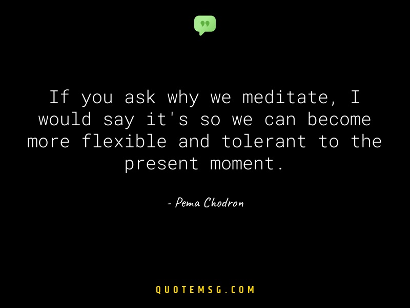 Image of Pema Chodron