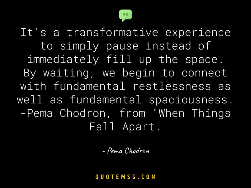 Image of Pema Chodron