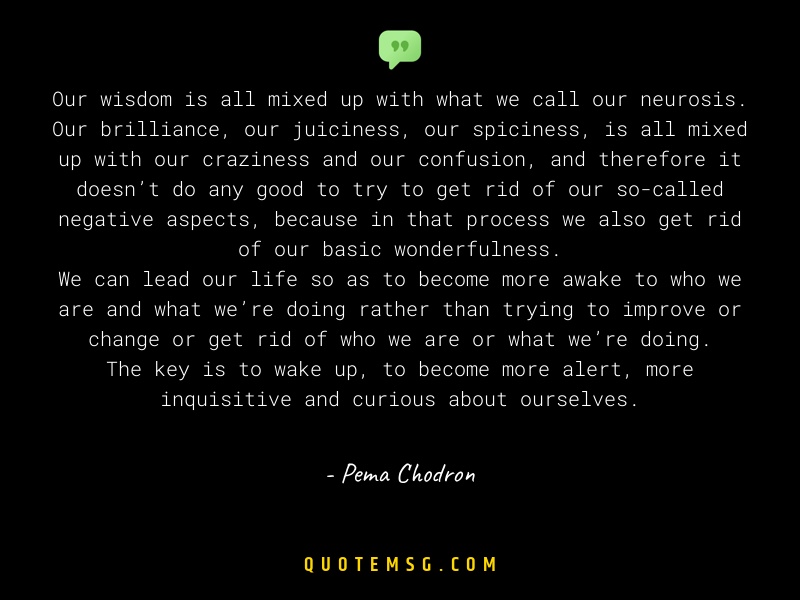 Image of Pema Chodron