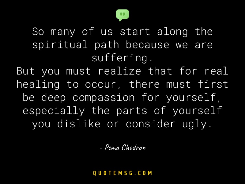 Image of Pema Chodron