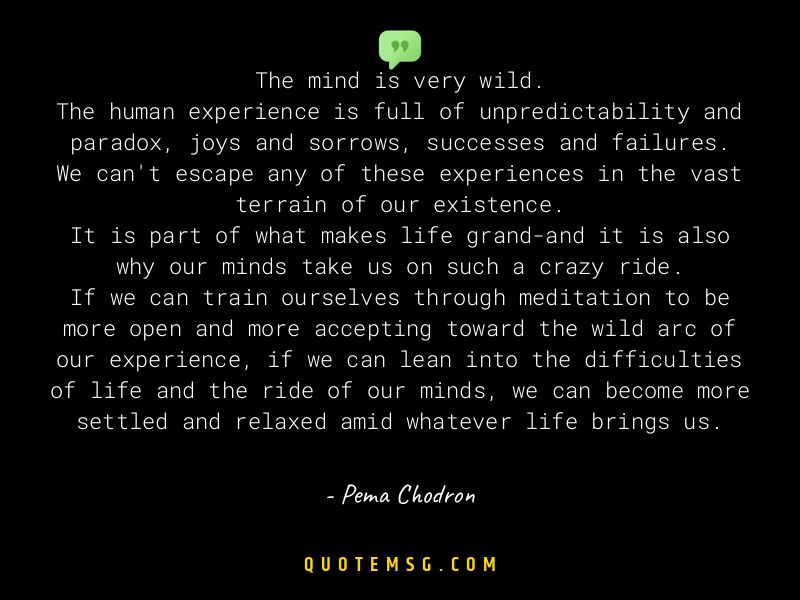 Image of Pema Chodron