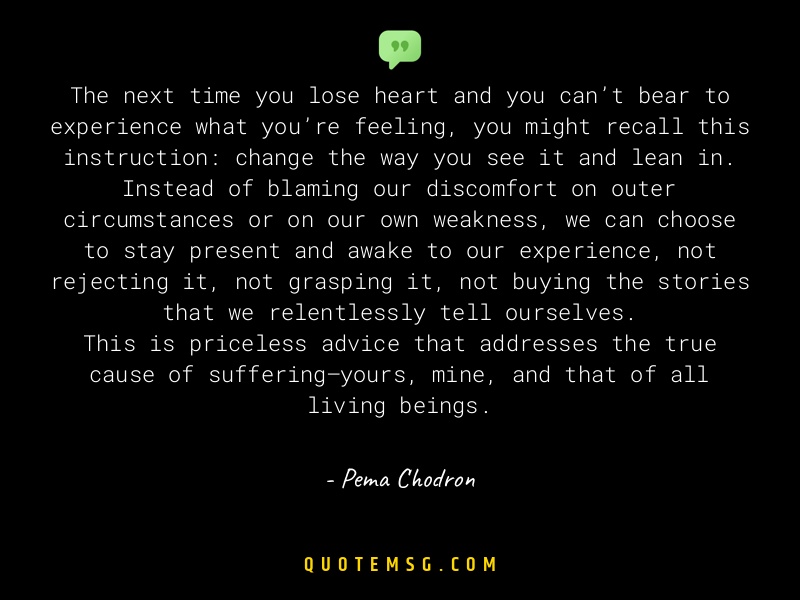 Image of Pema Chodron