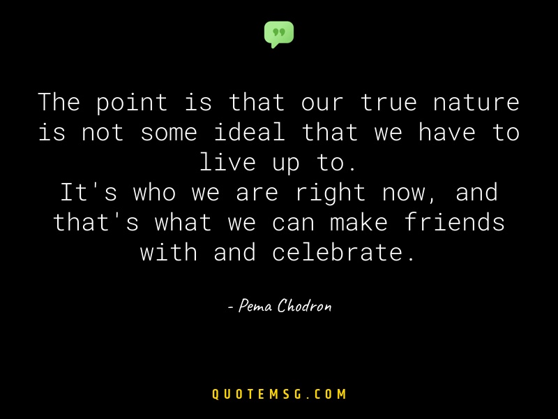 Image of Pema Chodron