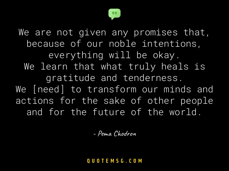 Image of Pema Chodron