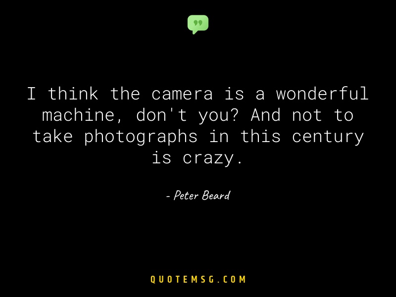 Image of Peter Beard