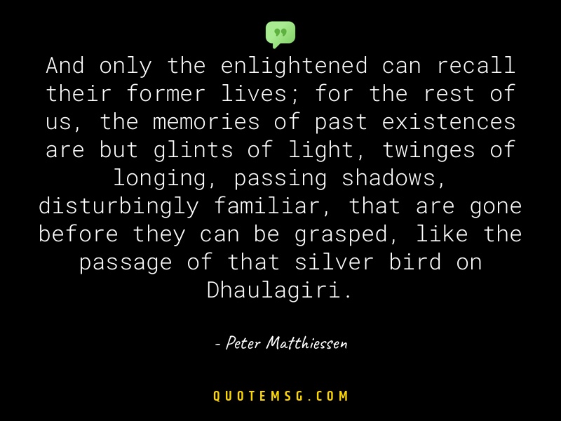 Image of Peter Matthiessen