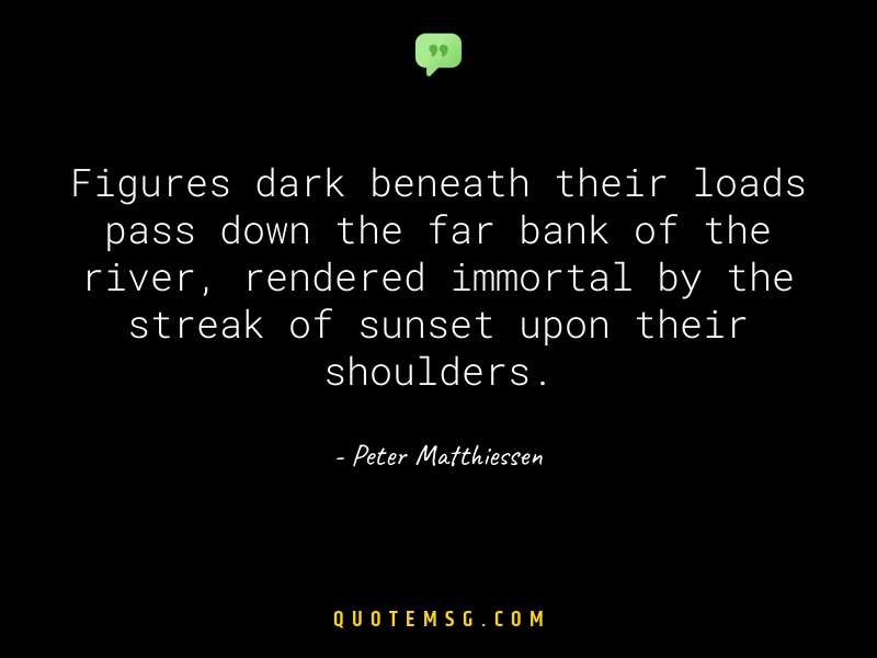 Image of Peter Matthiessen