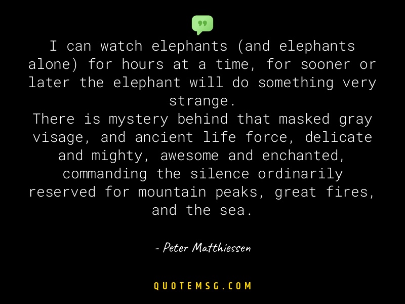 Image of Peter Matthiessen