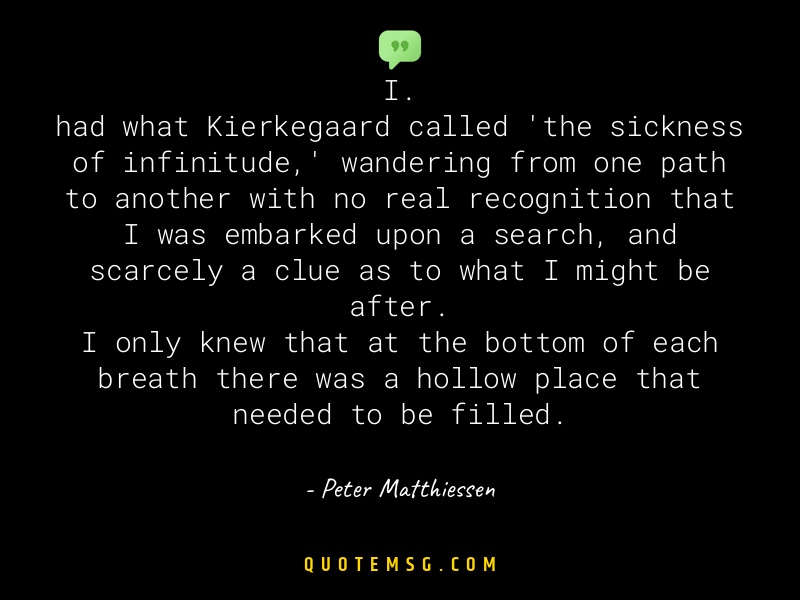 Image of Peter Matthiessen