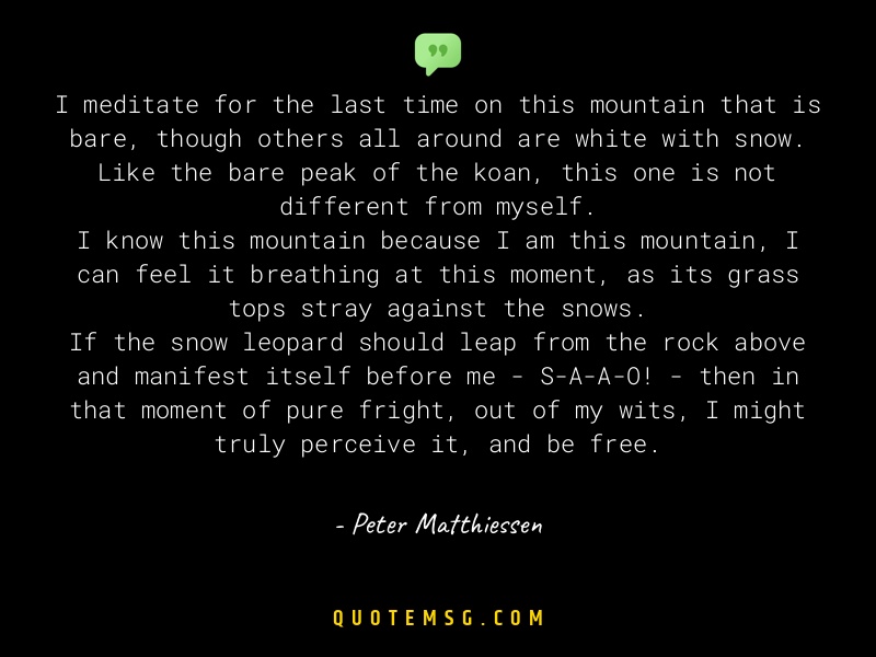 Image of Peter Matthiessen