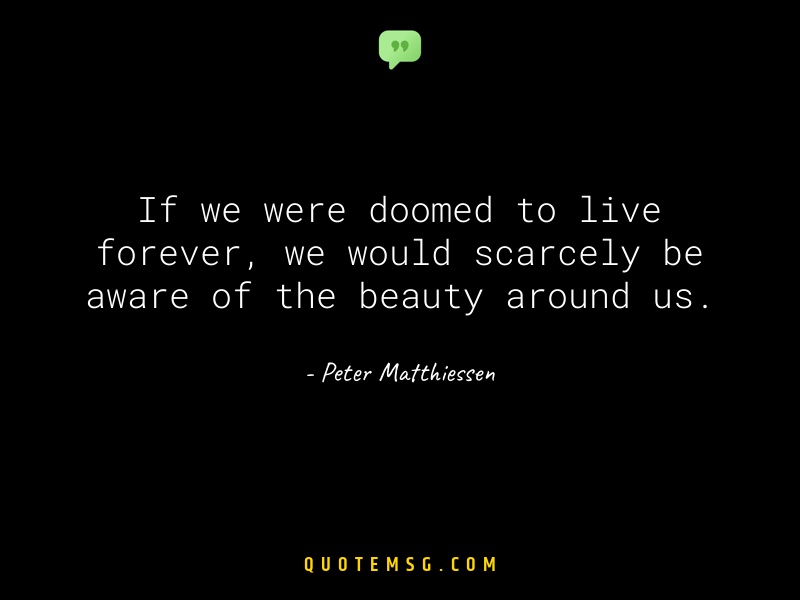 Image of Peter Matthiessen