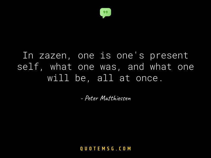 Image of Peter Matthiessen