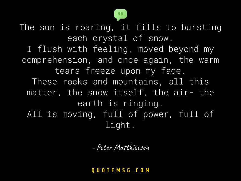 Image of Peter Matthiessen