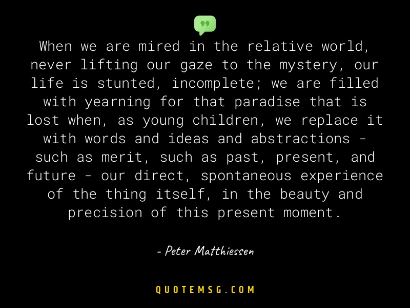 Image of Peter Matthiessen