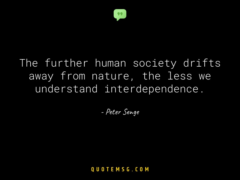 Image of Peter Senge