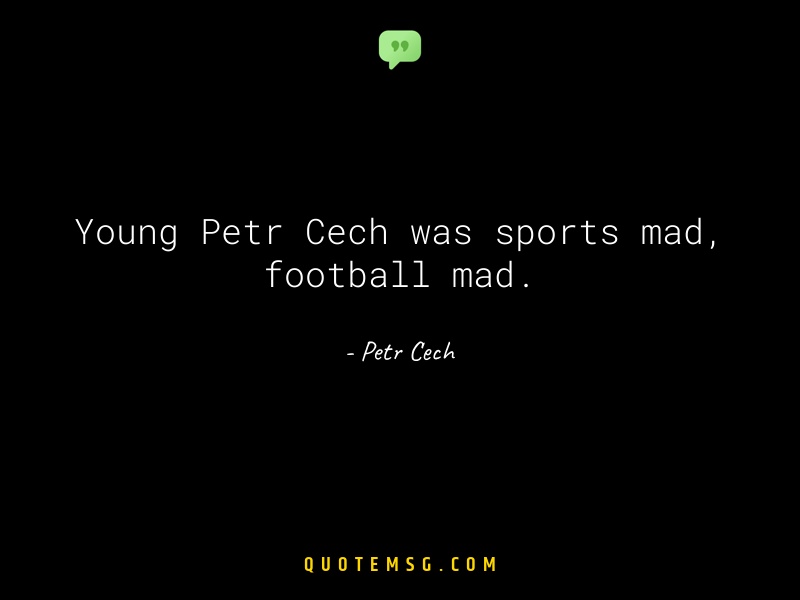 Image of Petr Cech