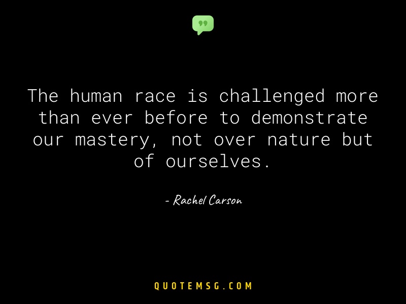 Image of Rachel Carson