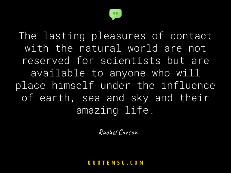 Image of Rachel Carson