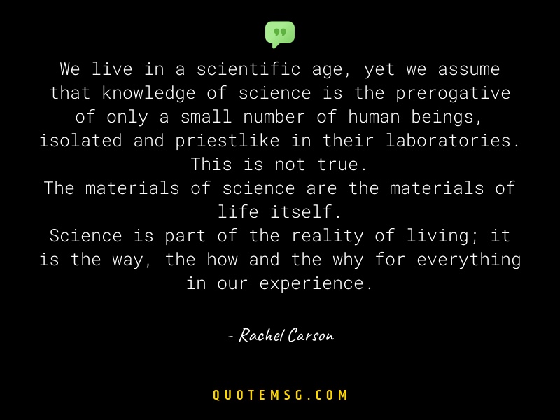 Image of Rachel Carson