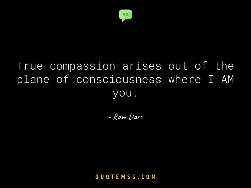 Image of Ram Dass