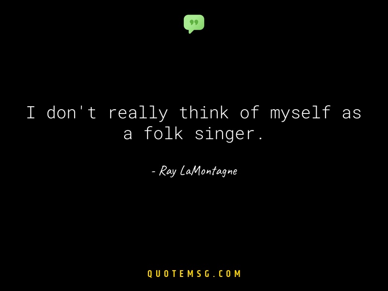 Image of Ray LaMontagne