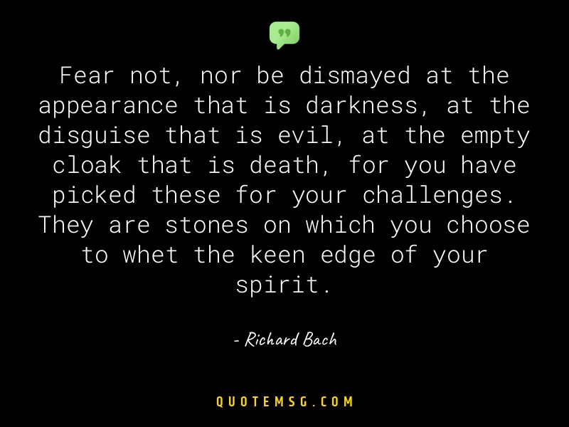 Image of Richard Bach