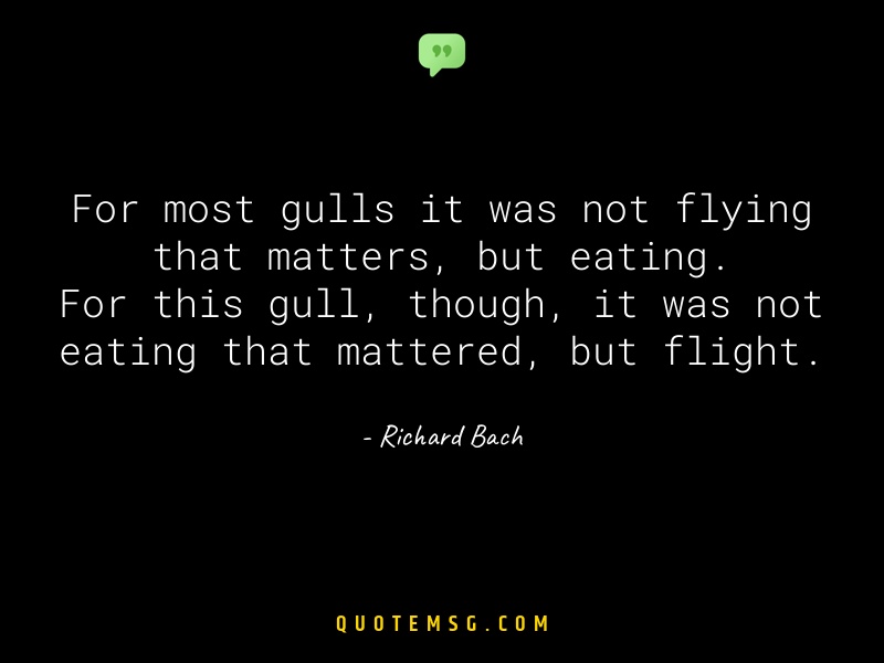 Image of Richard Bach