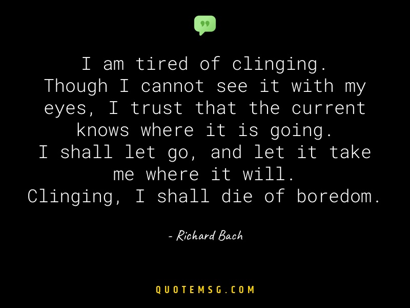 Image of Richard Bach