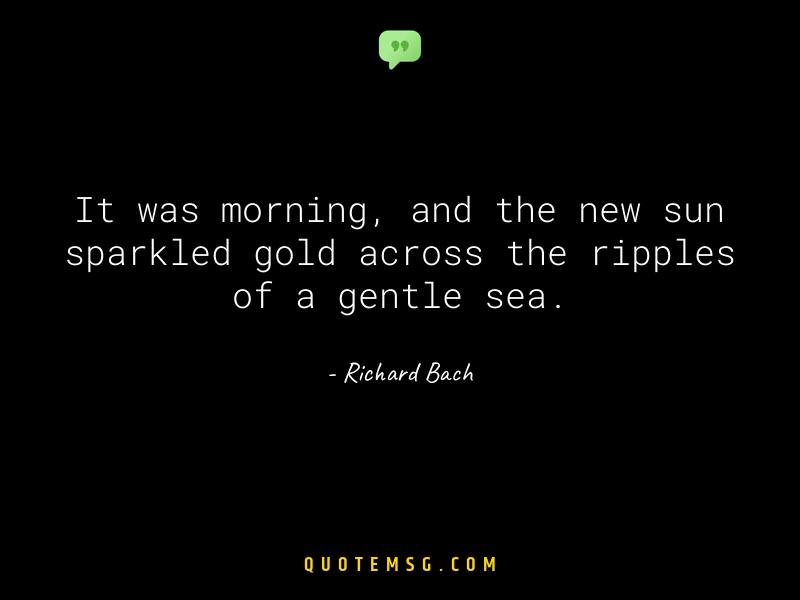 Image of Richard Bach