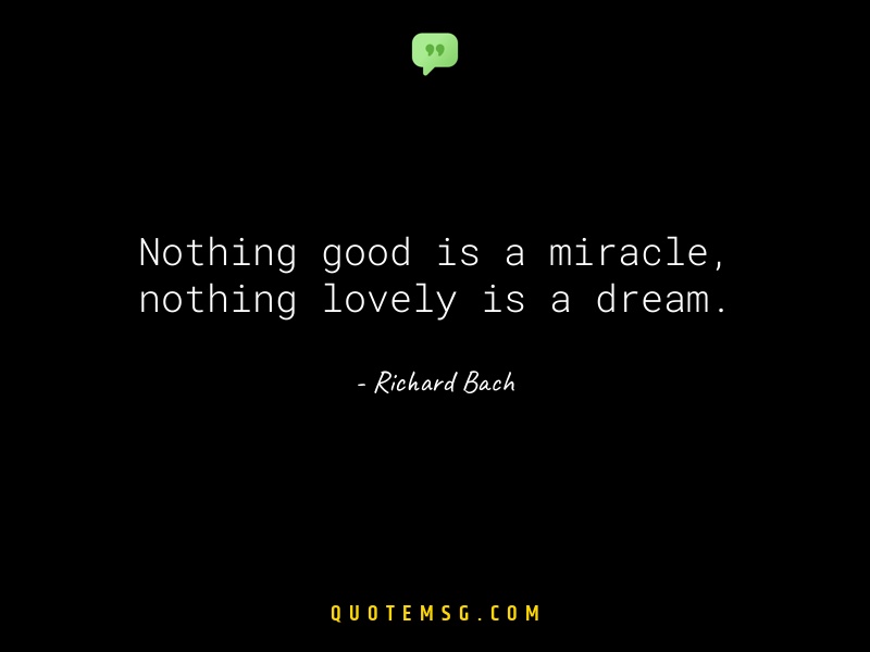 Image of Richard Bach