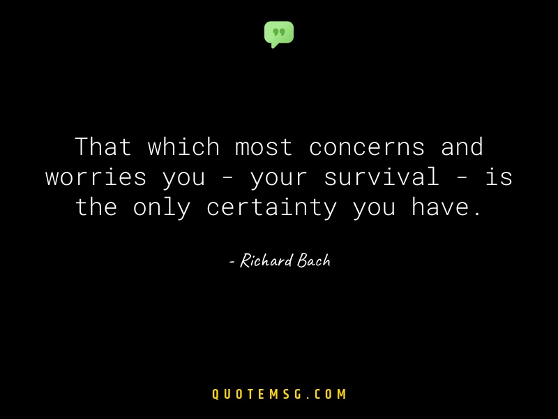 Image of Richard Bach