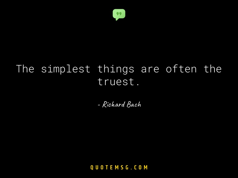 Image of Richard Bach