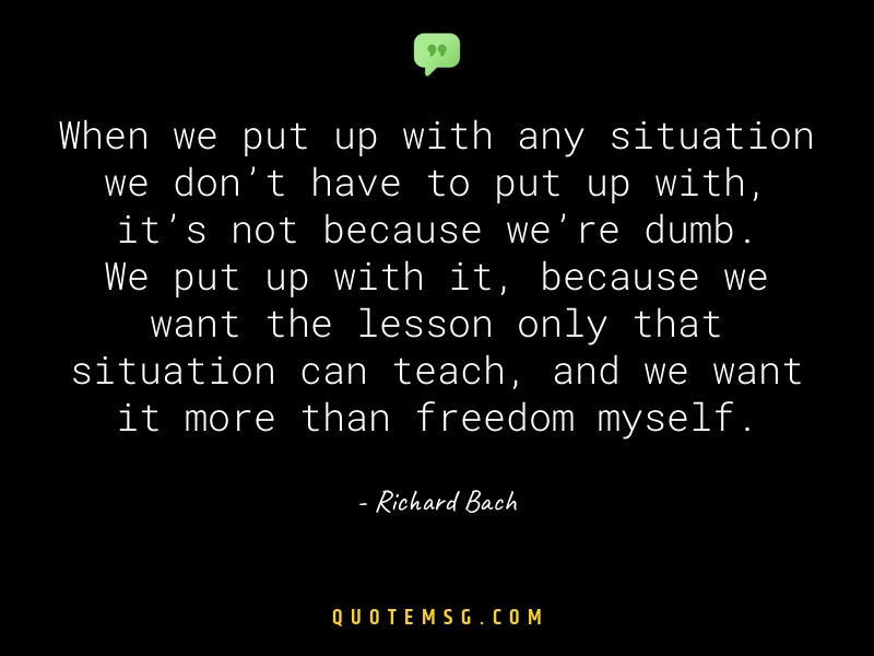 Image of Richard Bach