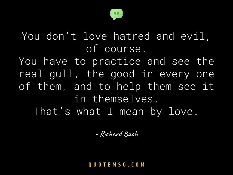 Image of Richard Bach