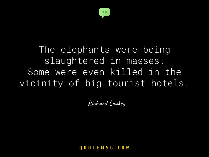 Image of Richard Leakey