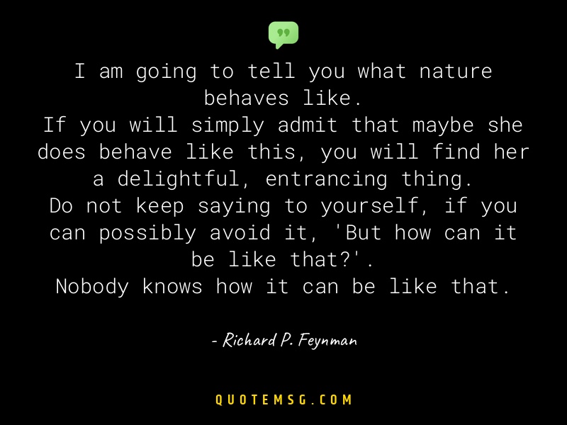 Image of Richard P. Feynman