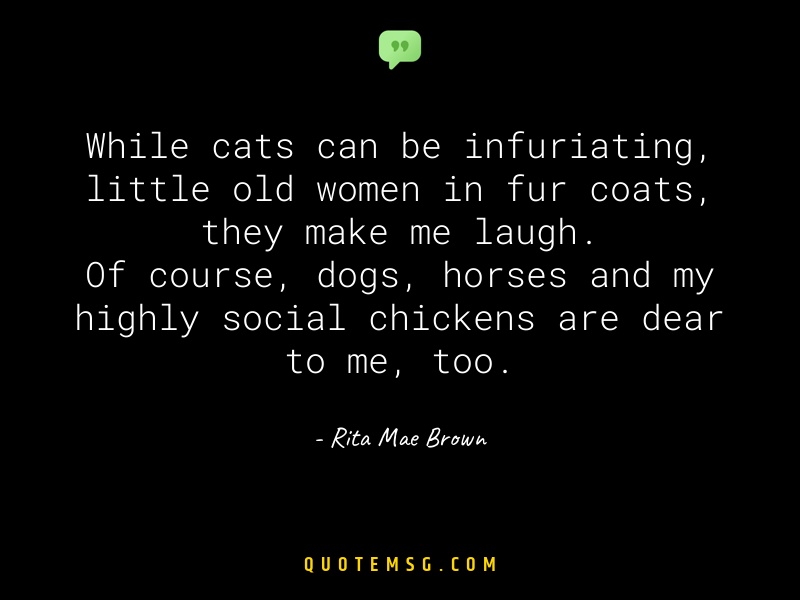 Image of Rita Mae Brown