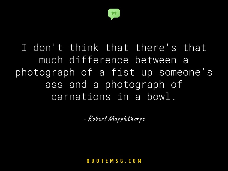 Image of Robert Mapplethorpe