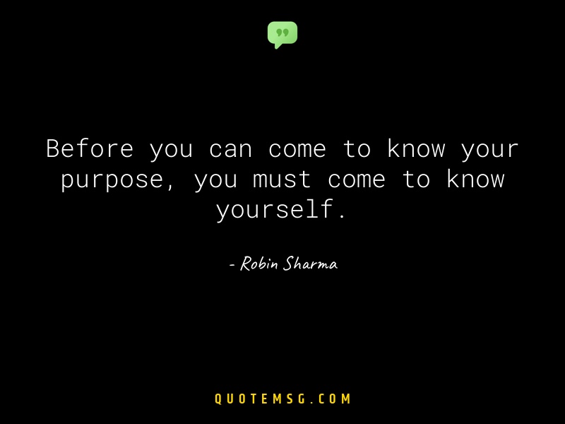 Image of Robin Sharma